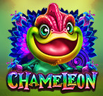  MT招财猫2专享：靠谱工具如何帮普通人轻松提效？（MT招财猫2专享）