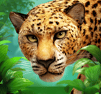 MT游戏站财神驾到细节（MT游戏站财神驾到细节）