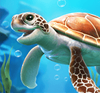 专业MT娱乐福星献舞玩家（专业MT娱乐福星献舞玩家）